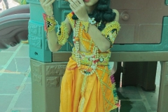 janmashtami-celebrations-6