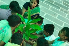 Van Mahostav and Green Day Celebrations