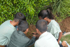 World-environment-day-10