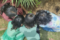 World-environment-day-11