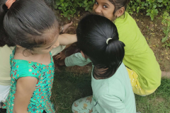 World-environment-day-2