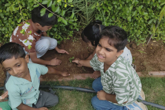World-environment-day-4