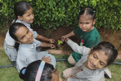 World-environment-day-6