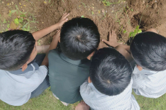 World-environment-day-8